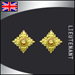 Lieutenant