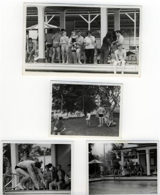 wp0139abbf_0f.jpg