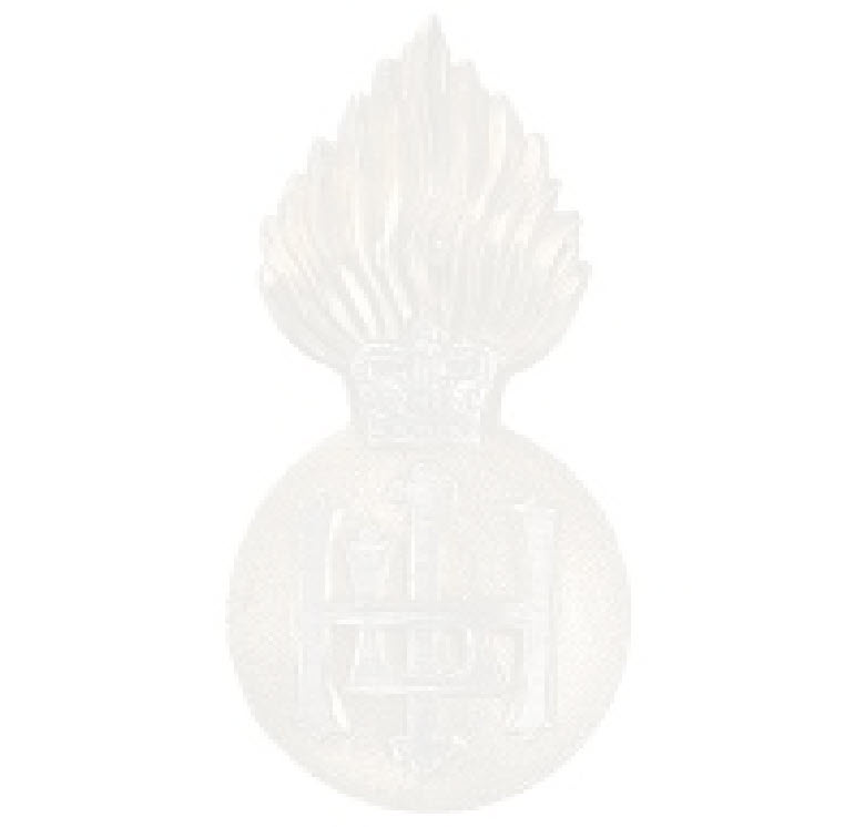 wp358c0f37_1b.jpg